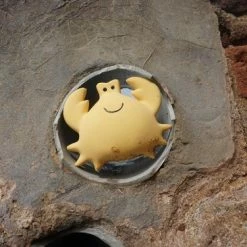 Tikiri Badspeeltje Met Belletje Krab -Aanbiedingen badspeelgoed Winkel 550x366 105