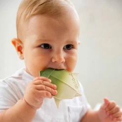 Oli & Carol H2Origami Bad En Bijtspeeltje Schildpad -Aanbiedingen badspeelgoed Winkel 550x550 717