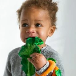 Oli & Carol - Badspeelgoed - Kendall The Kale -Aanbiedingen badspeelgoed Winkel 550x680 4